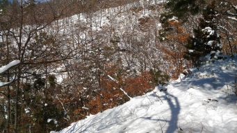 雪のタツマ斜面